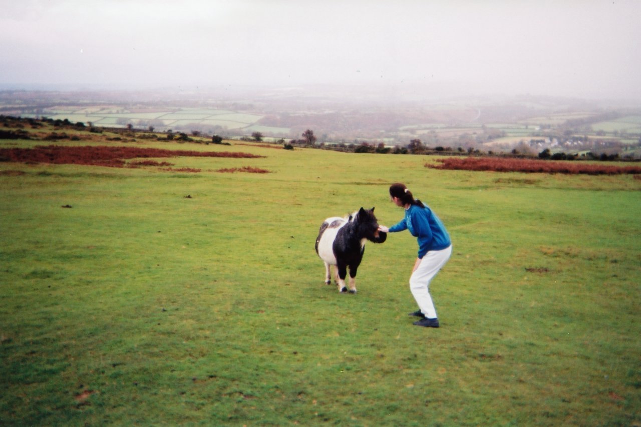 AandM atop Dartmoor- pregnant moor pony- fall 2006